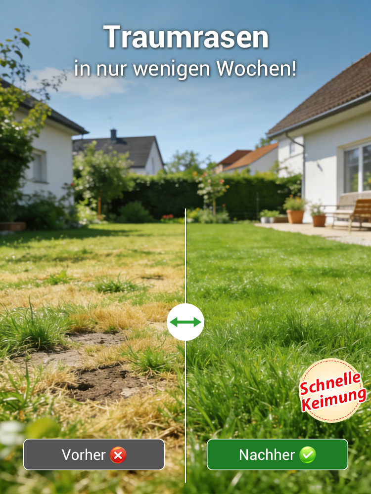 Rasensamen keimen in 7 Tagen