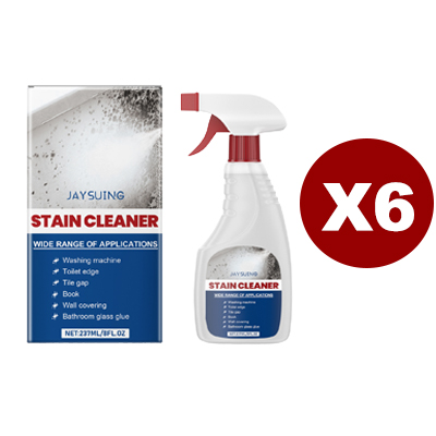 Wandreiniger Spray gegen Schimmel und Flecken