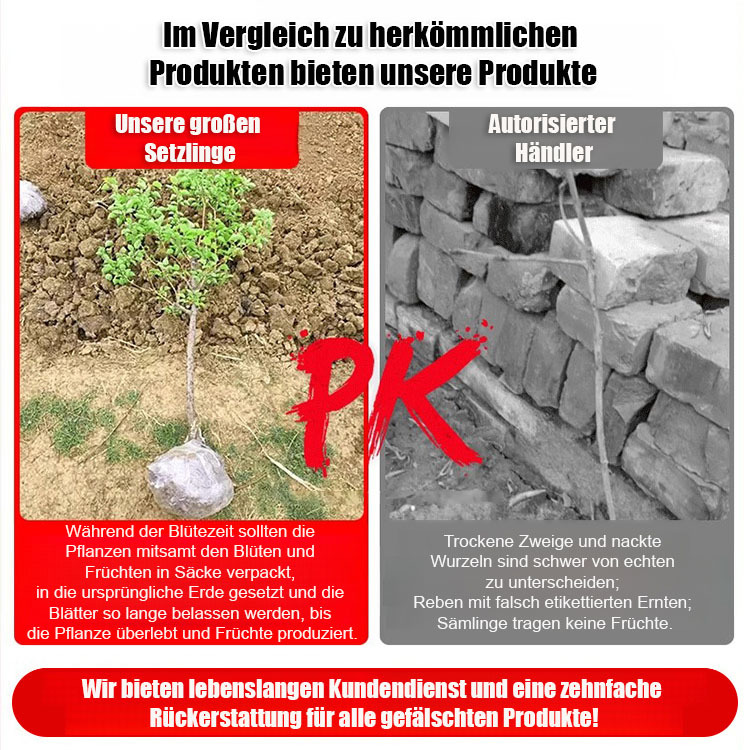 Die usa importieren befruchtungen