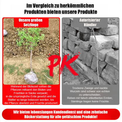 Die usa importieren befruchtungen