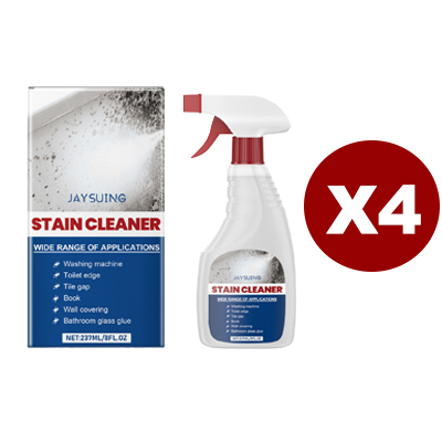 Wandreiniger Spray gegen Schimmel und Flecken