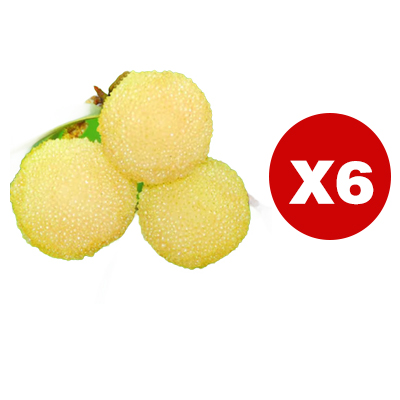 Ertragreicher Kristall-Weißer Myrtenbaum-Setzling, schädlingsresistent, fruchtet im ersten Jahr