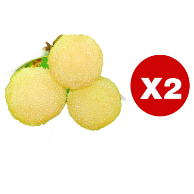 Ertragreicher Kristall-Weißer Myrtenbaum-Setzling, schädlingsresistent, fruchtet im ersten Jahr