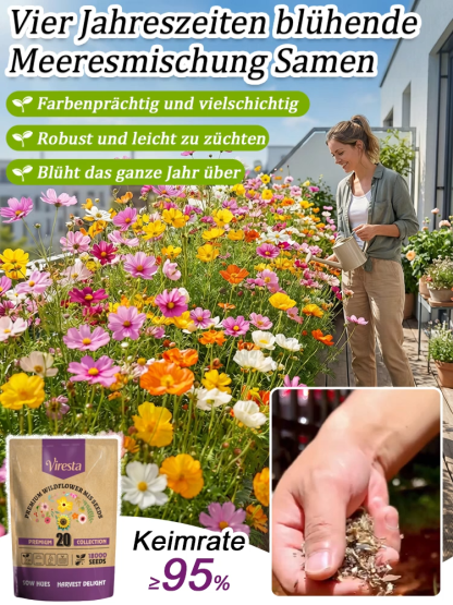 【Über 240.000 Mal gekauft】Einfach zu züchtende gemischte Blumensamen