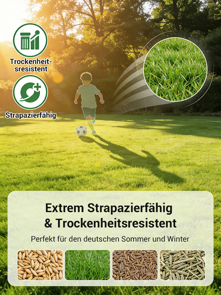 Rasensamen keimen in 7 Tagen