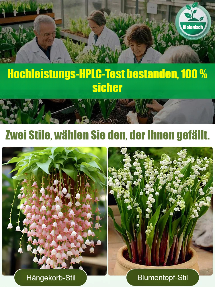 Natürlicher Duft - Wunderschöne Maiglöckchen Samen