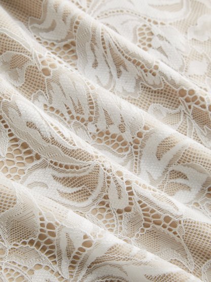 Lace Sheer Boat Neck Top Curve & Plus