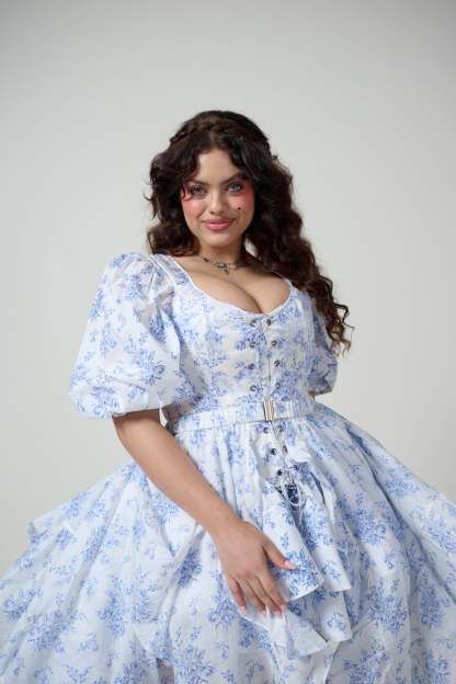 The Bed & Breakfast Duchess Corset