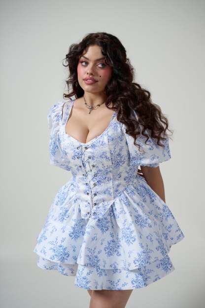 The Bed & Breakfast Duchess Corset