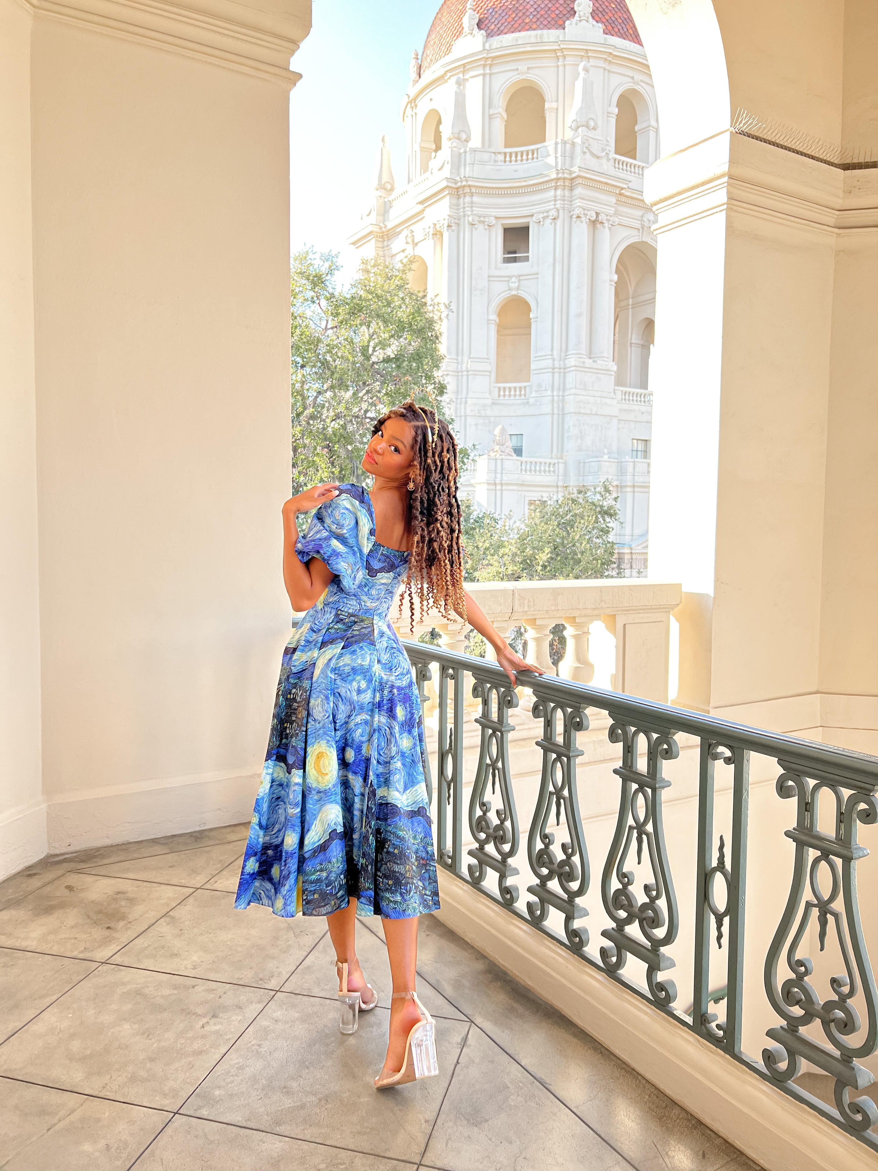 The Starry Night Day Dress