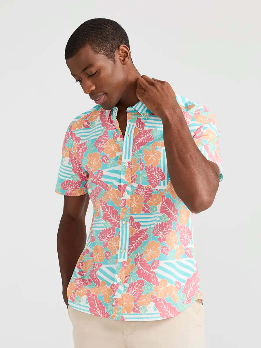 The Dude Where's Macaw