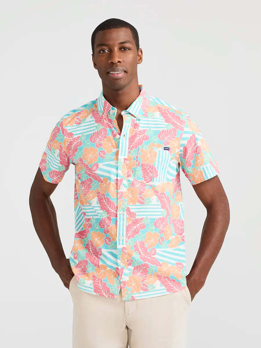 The Dude Where's Macaw