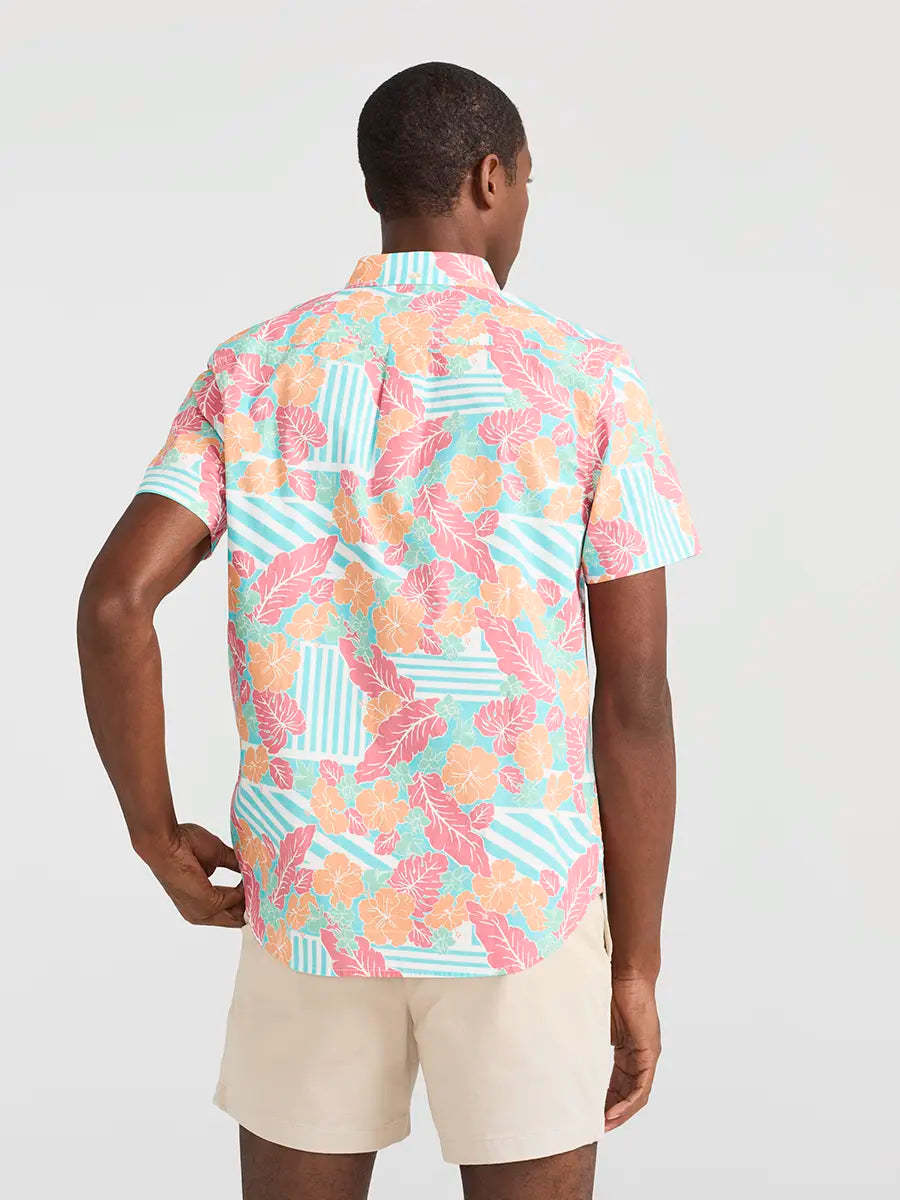 The Dude Where's Macaw