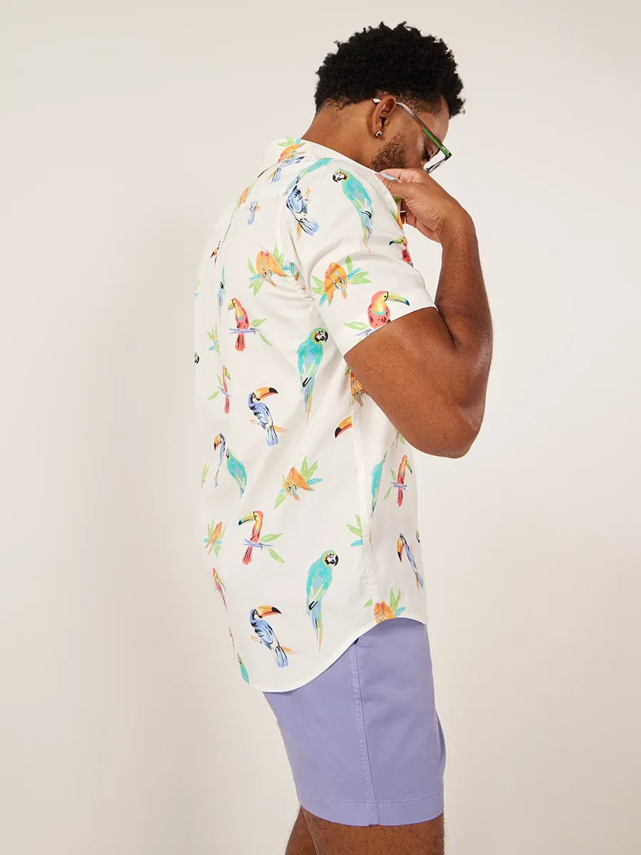 The Dude Where's Macaw