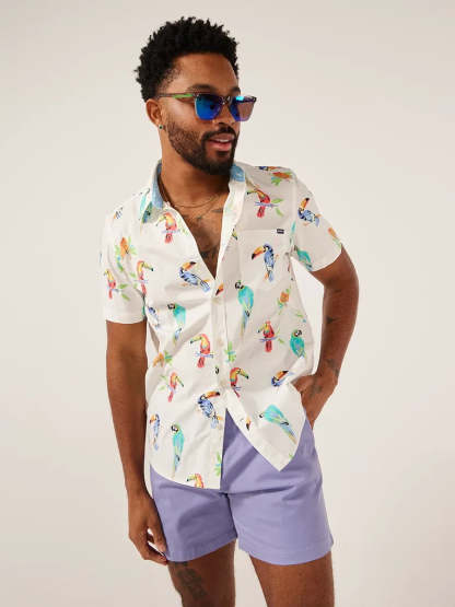 The Dude Where's Macaw