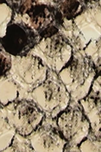 Journee Women's Alissa Tru Comfort Foam Espadrille Slide Wedge Sandals