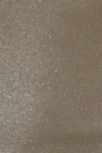 Women's Comfort Adjustable Leather Sandals