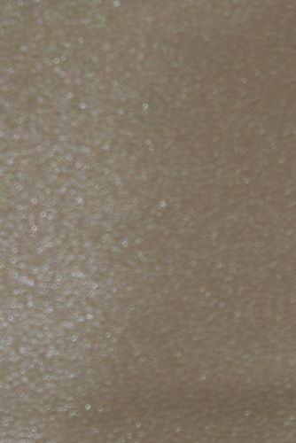 Women's Comfort Adjustable Leather Sandals