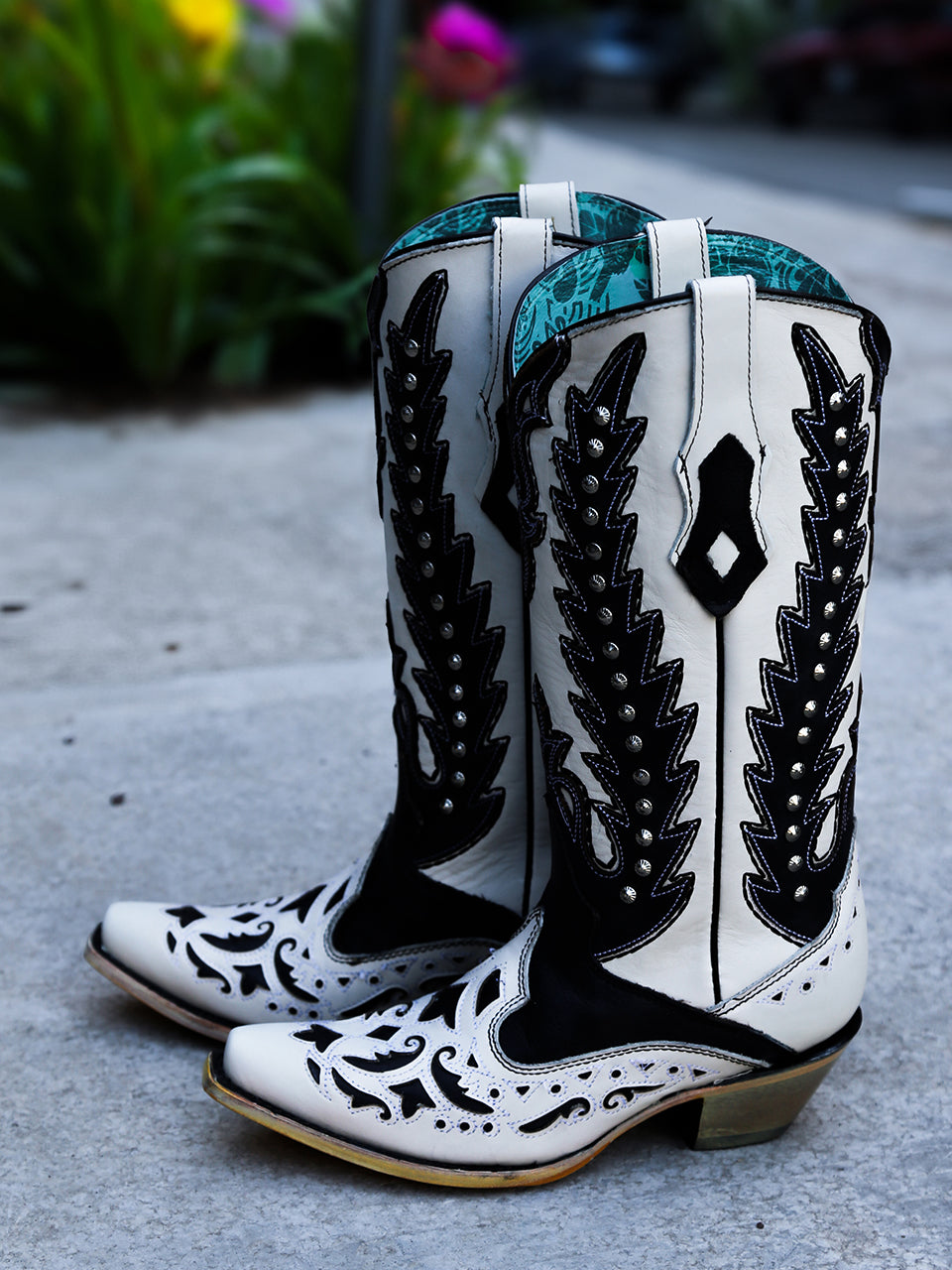C4160 - WOMEN'S BLACK OVERLAY EMBROIDERY AND STUDS SNIP TOE WHITE COWBOY BOOT