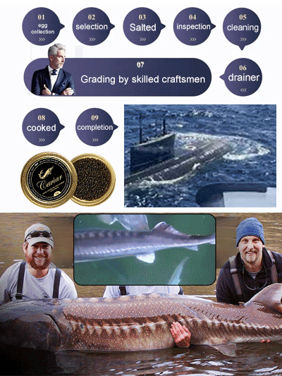 Russian imported sturgeon black caviar
