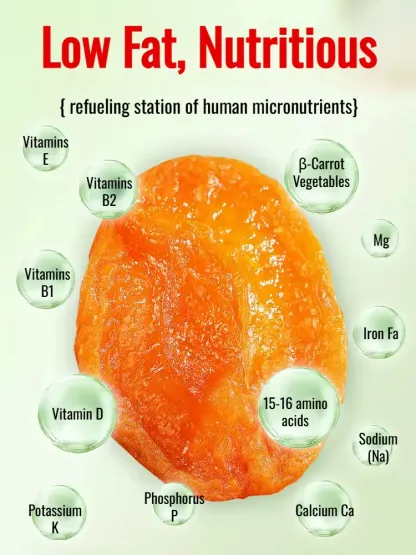 Natural Seedless Golden Apricot Dry from Farm