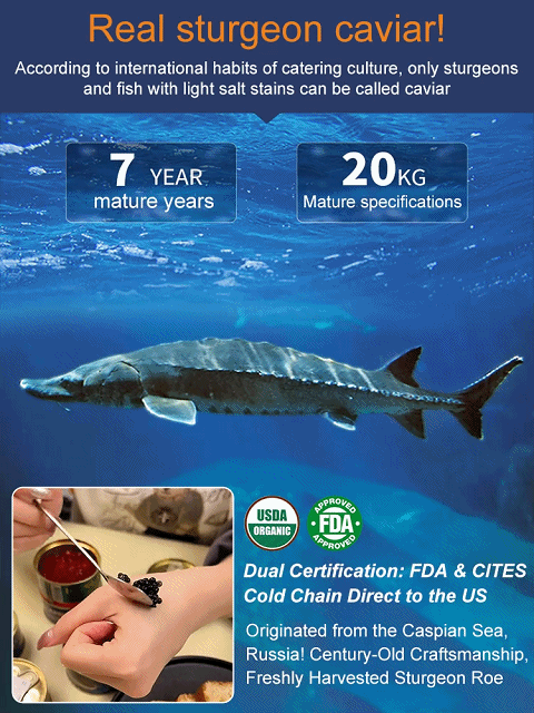 Russian imported sturgeon black caviar