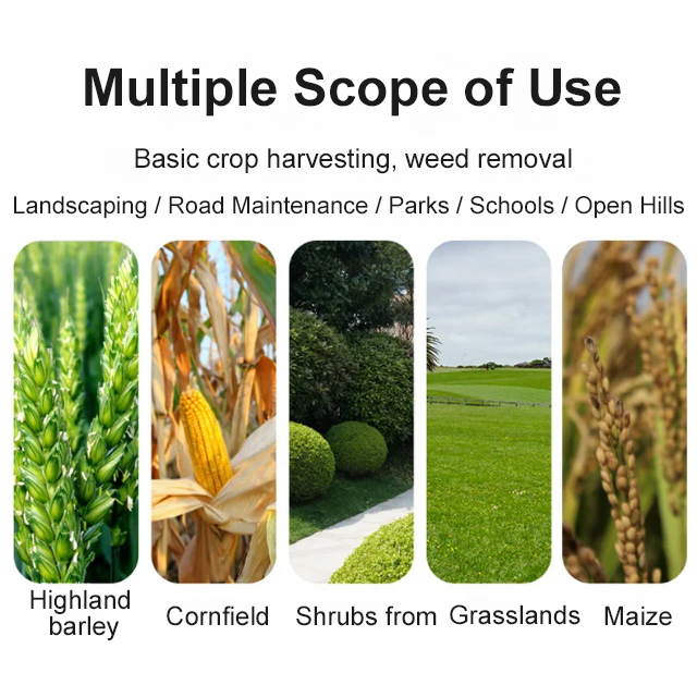 Wireless String Trimmer Weed Cutter