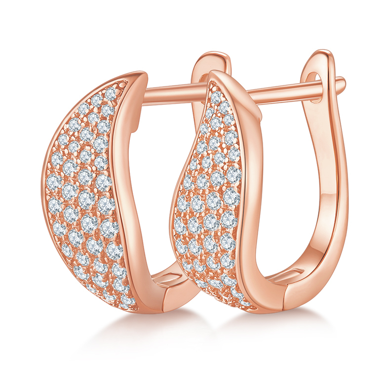 K011A Double-Row Half-and-Half Earrings, S925 Silver with Moissanite & D-Colour 0.50ct Diamond