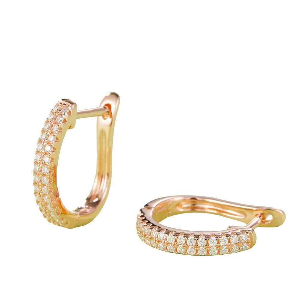 K010A Double-Row Half-and-Half Earrings, S925 Silver with Moissanite & D-Colour 0.28ct Diamond