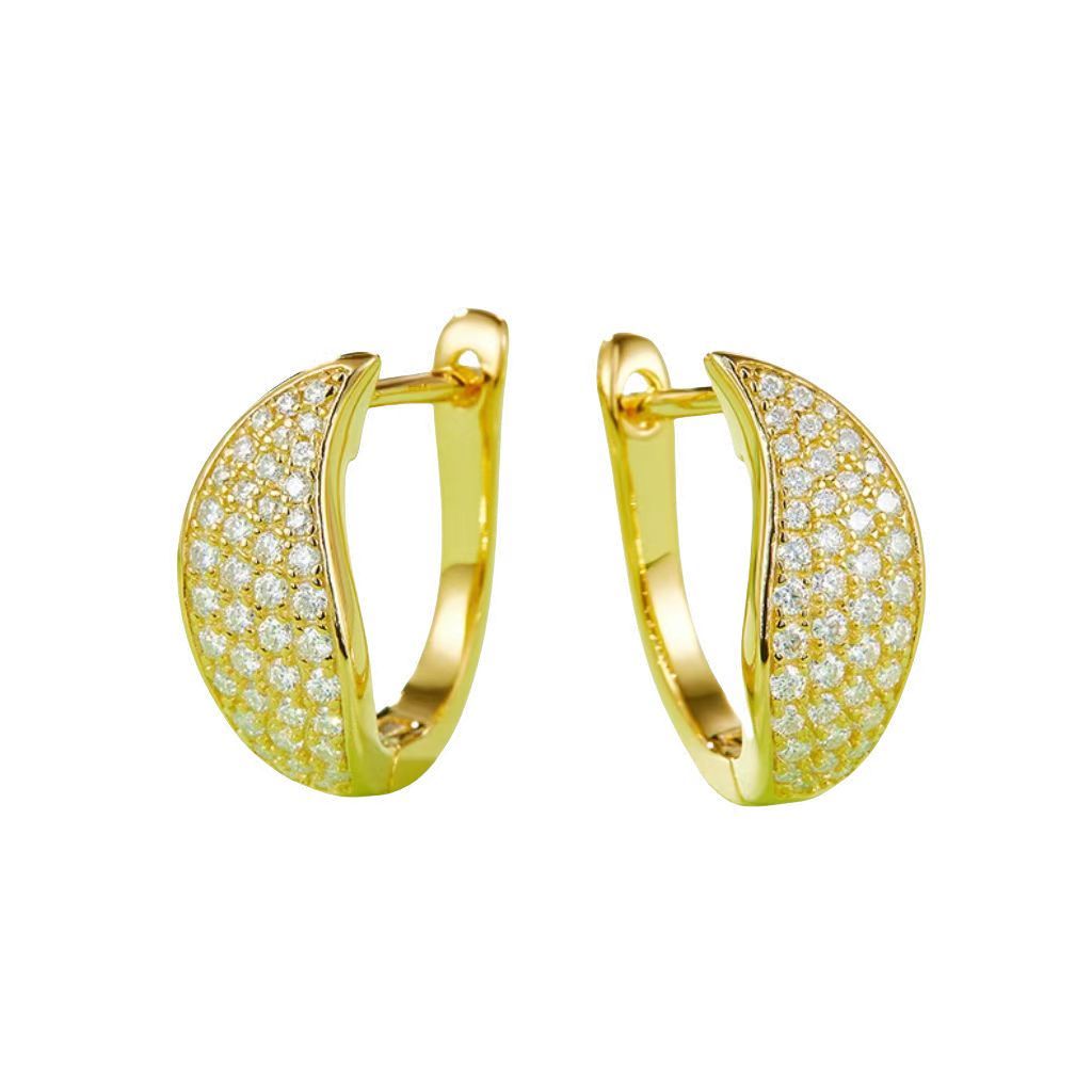 K011A Double-Row Half-and-Half Earrings, S925 Silver with Moissanite & D-Colour 0.50ct Diamond