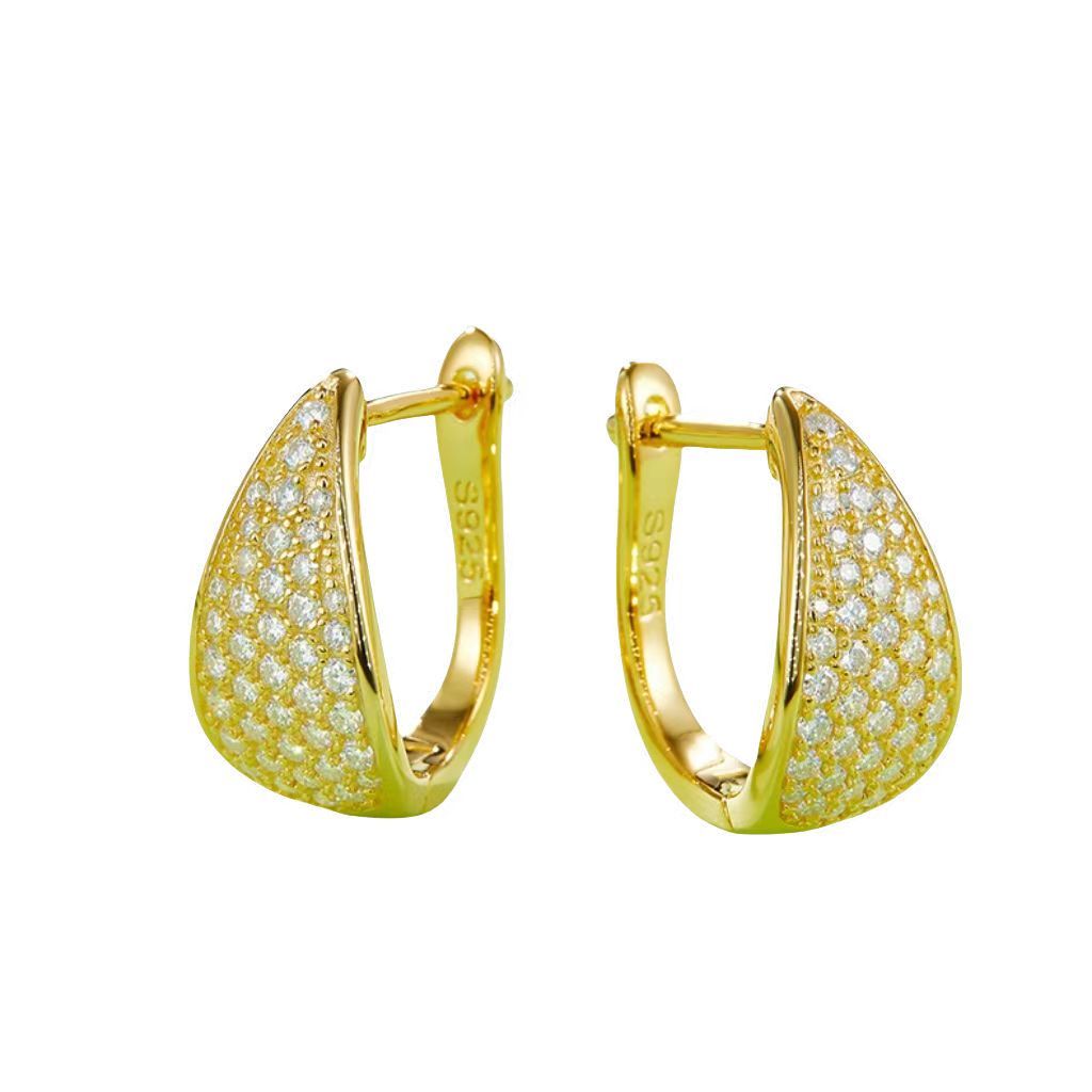 K013A Five-Row Half-and-Half Earrings, S925 Silver with Moissanite & D-Colour 0.57ct Diamond