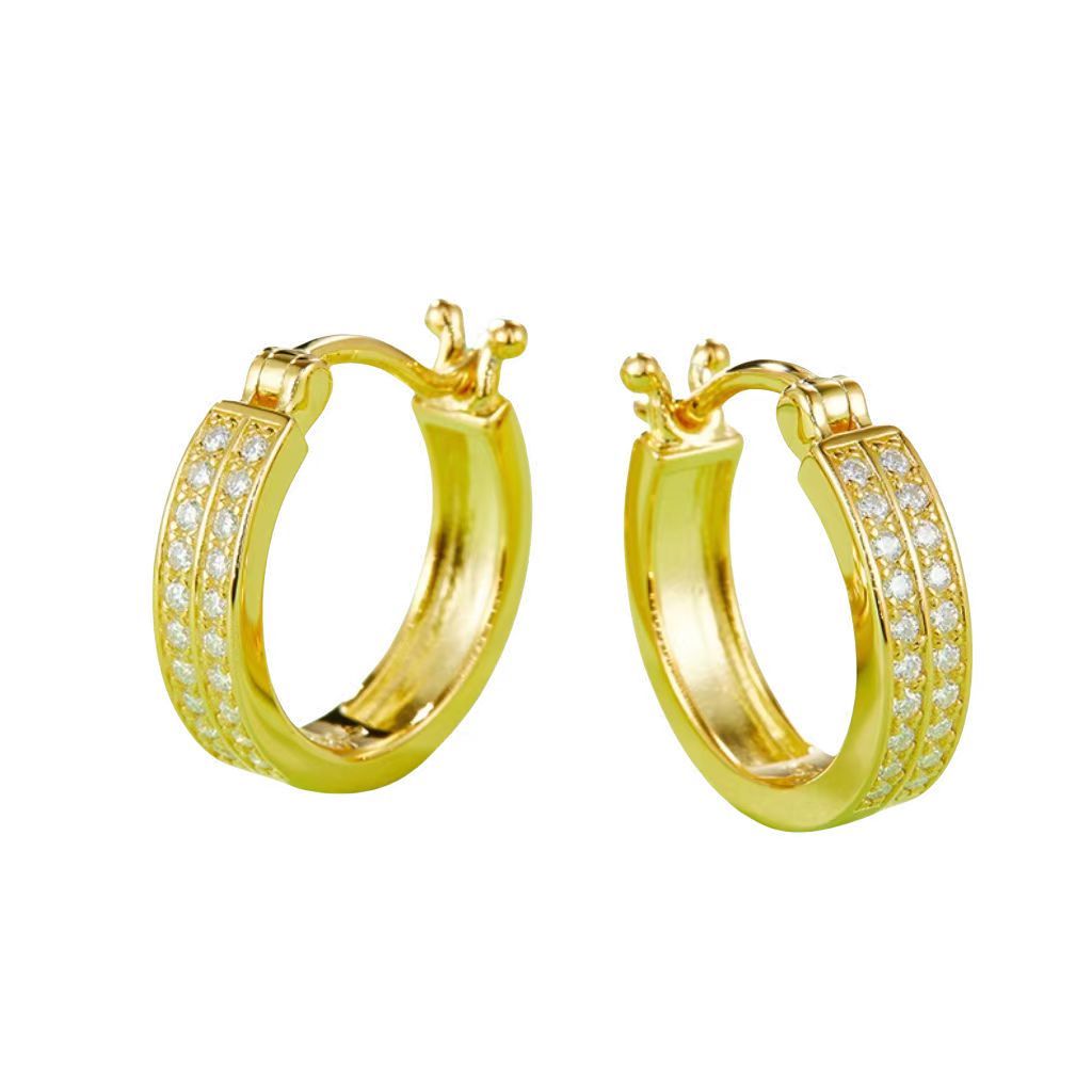 K012A Double-Row Half-and-Half Earrings, S925 Silver with Moissanite & D-Colour 0.24ct Diamond