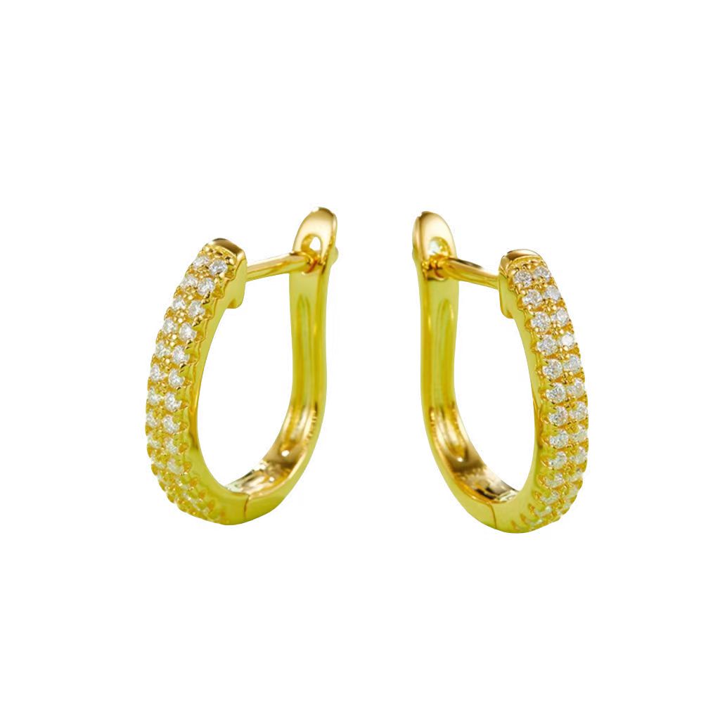 K010A Double-Row Half-and-Half Earrings, S925 Silver with Moissanite & D-Colour 0.28ct Diamond