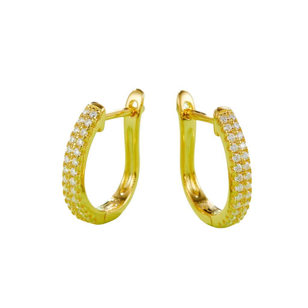 K010A Double-Row Half-and-Half Earrings, S925 Silver with Moissanite & D-Colour 0.28ct Diamond