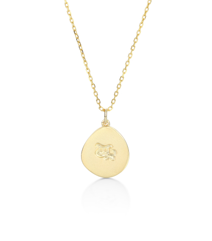 Handmade Customized Family Member Personalized Pet Dog Paw Necklace, Name Necklace, 925 Sterling Silver Set in 14K Gold