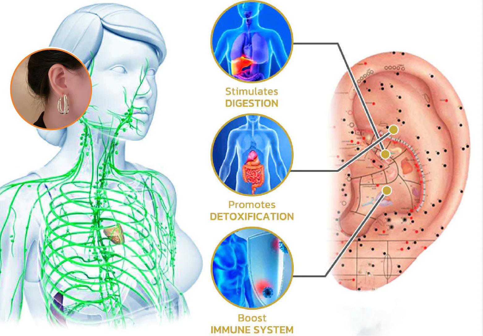 Histone Lymphatic fashion Oval Earrings（Limited Time Discount 🔥 Last Day）-WAIOLTD