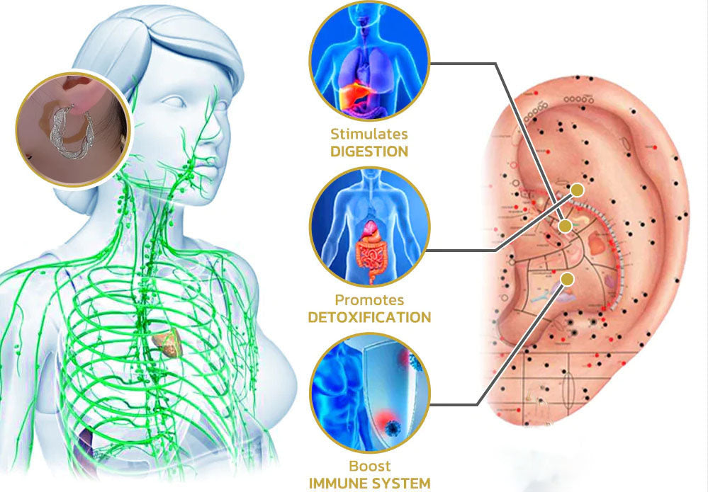 （🔥LAST DAY SALE-80% OFF) Histone Lymphatic activity hoop earrings-WAIOLTD