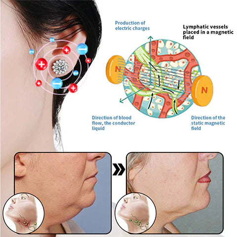 Histone Moissanite Diamond Titanium Earrings(Limited Time Discount 🔥 Last Day)-WAIOLTD