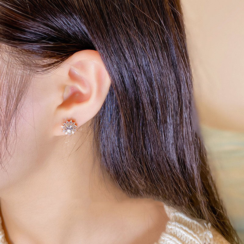 Histone Moissanite Diamond Titanium Earrings(Limited Time Discount 🔥 Last Day)-WAIOLTD