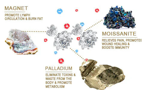 Histone Moissanite Diamond Titanium Earrings(Limited Time Discount 🔥 Last Day)-WAIOLTD