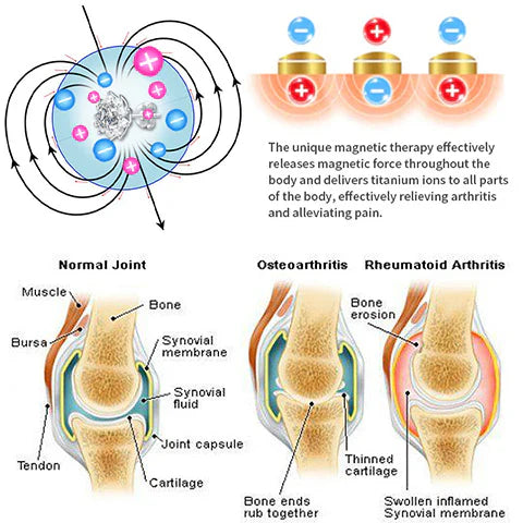 Histone Moissanite Diamond Titanium Earrings(Limited Time Discount 🔥 Last Day)-WAIOLTD