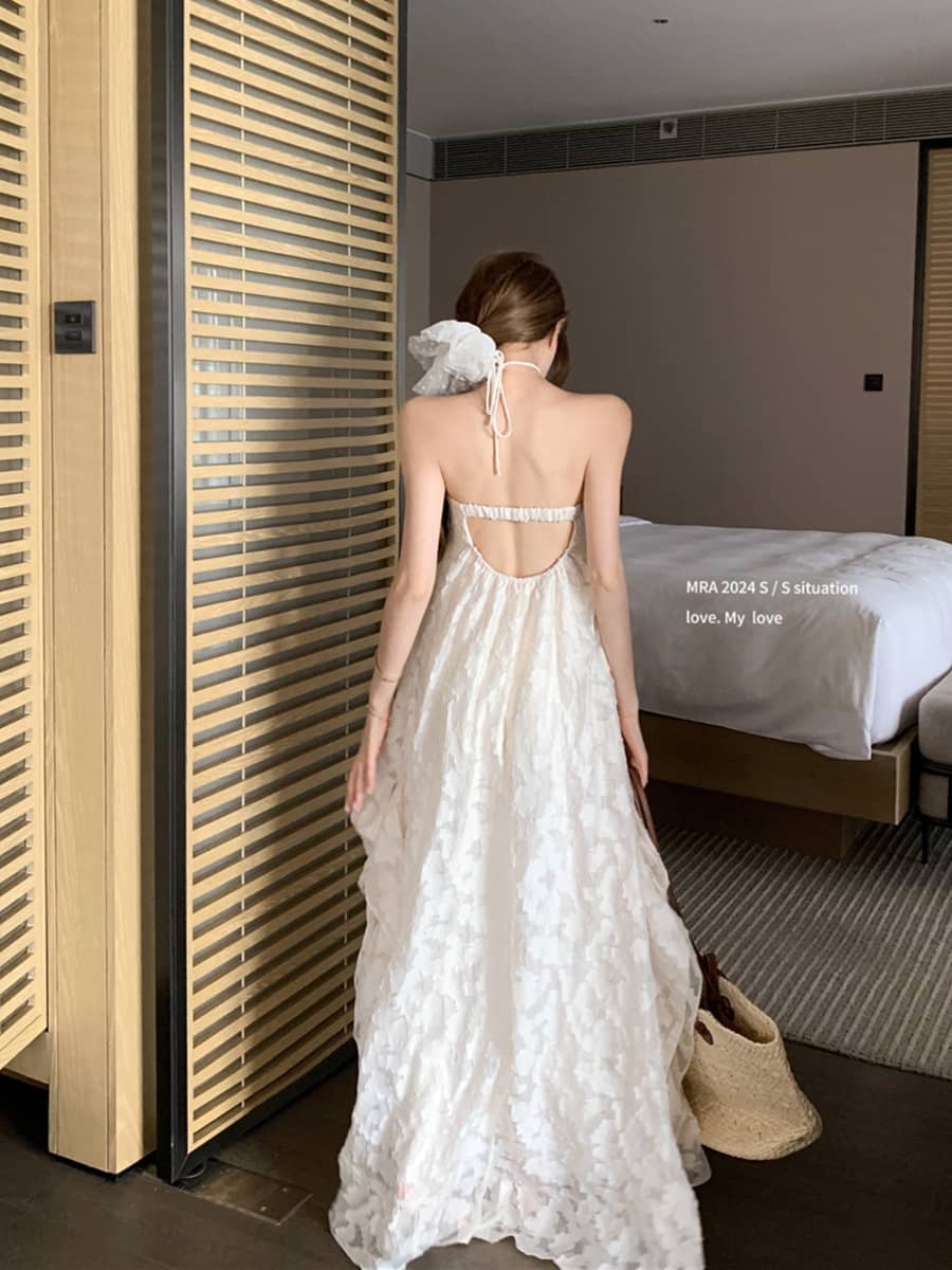 Halter Neck Backless Maxi Dress