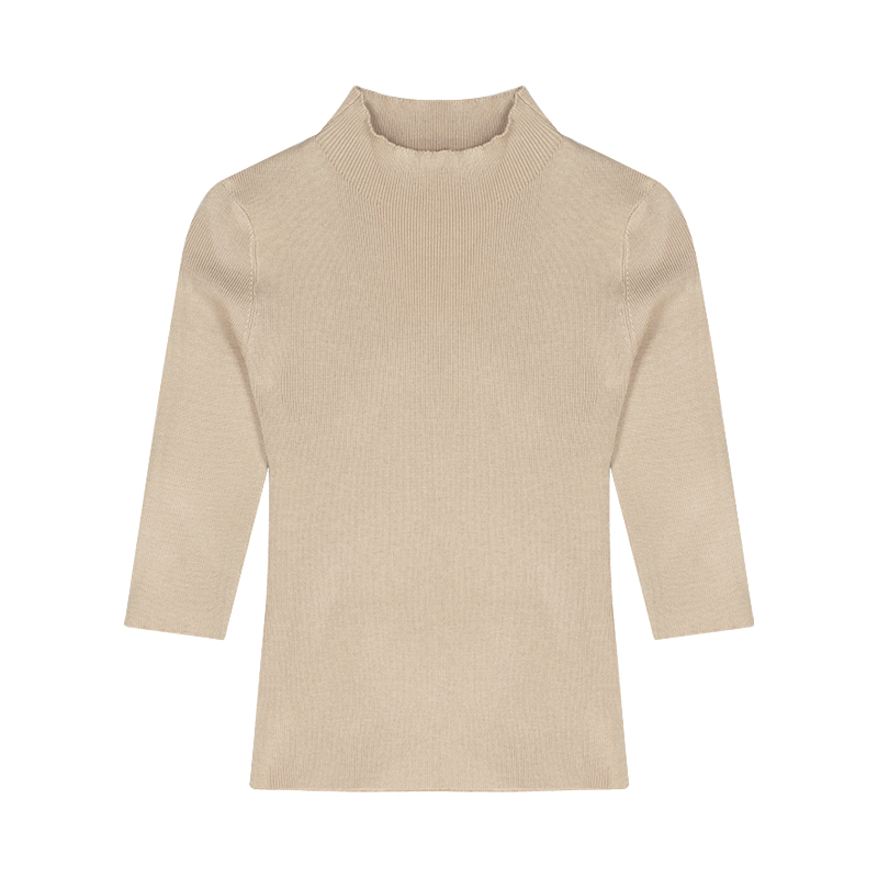 Semi-Turtleneck Knit Top