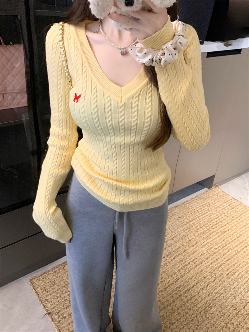 Butterfly Embroidered V-Neck Sweater