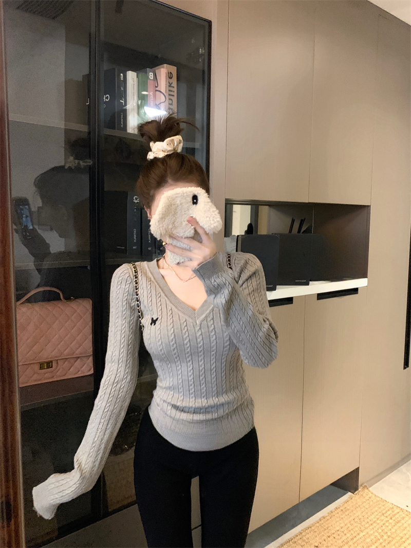 Butterfly Embroidered V-Neck Sweater