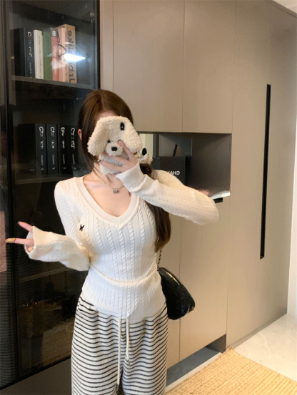 Butterfly Embroidered V-Neck Sweater