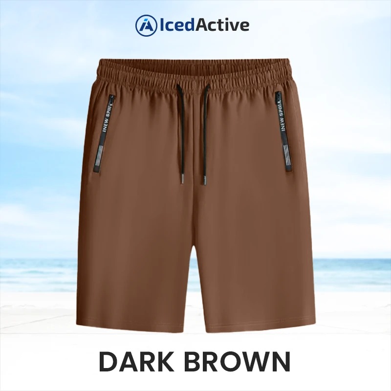 🔥Women's Ice Silk Quick Drying Stretch Shorts