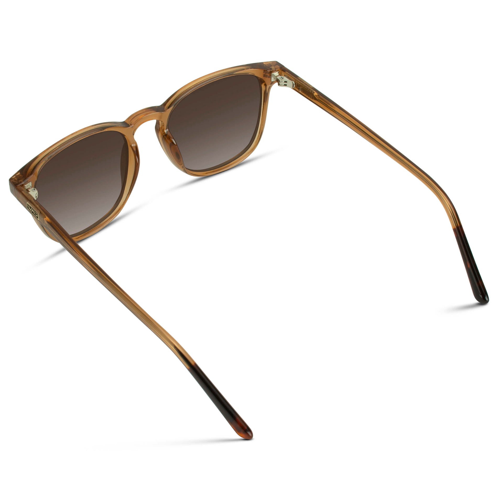 Fashion-forward trendy sunglasses