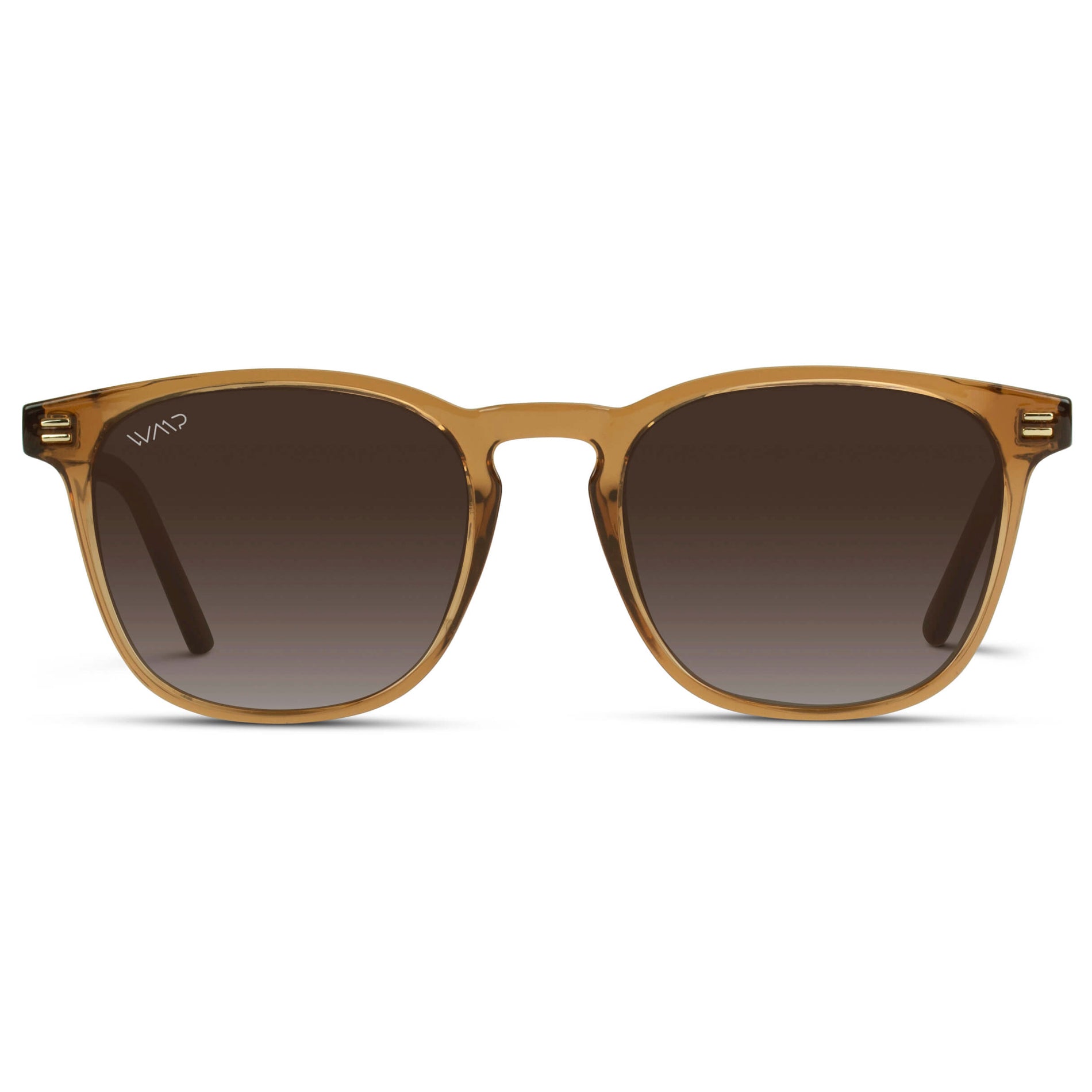 Fashion-forward trendy sunglasses