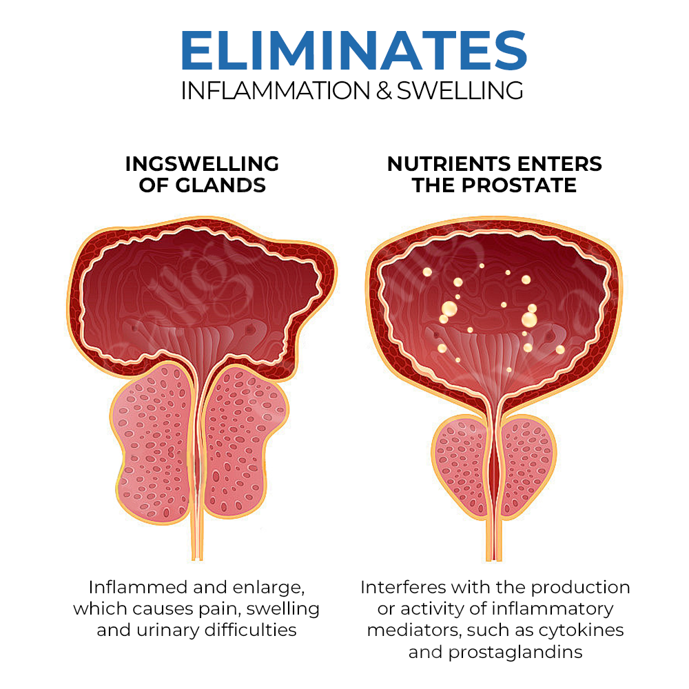 Oveallgo™ BeeBoom Nasal Inhaler for Prostate Well-Being
